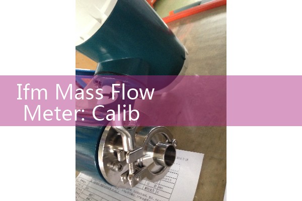 Ifm Mass Flow Meter: Calibrating Thermal Gas Insertion Probes for Direct Mass Flow Calculations